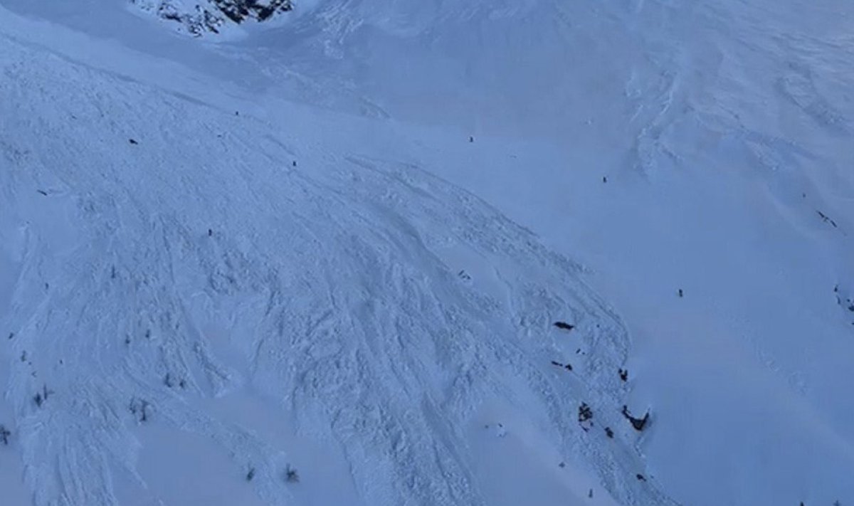 Mirror Breaking News tweet media