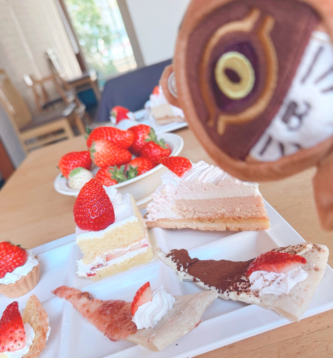 2日間いっぱい食べて遊んできました🍓
待ってる時間もたくさんお話しできて楽しすぎました！またお会いできる日が楽しみです🐯
