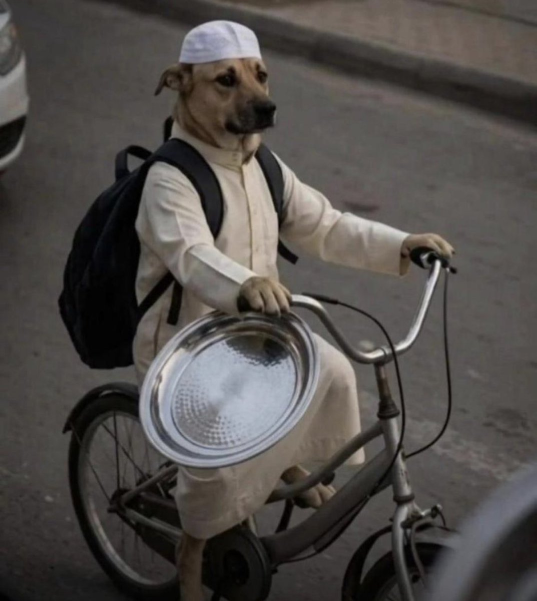 iamfebiani tweet media