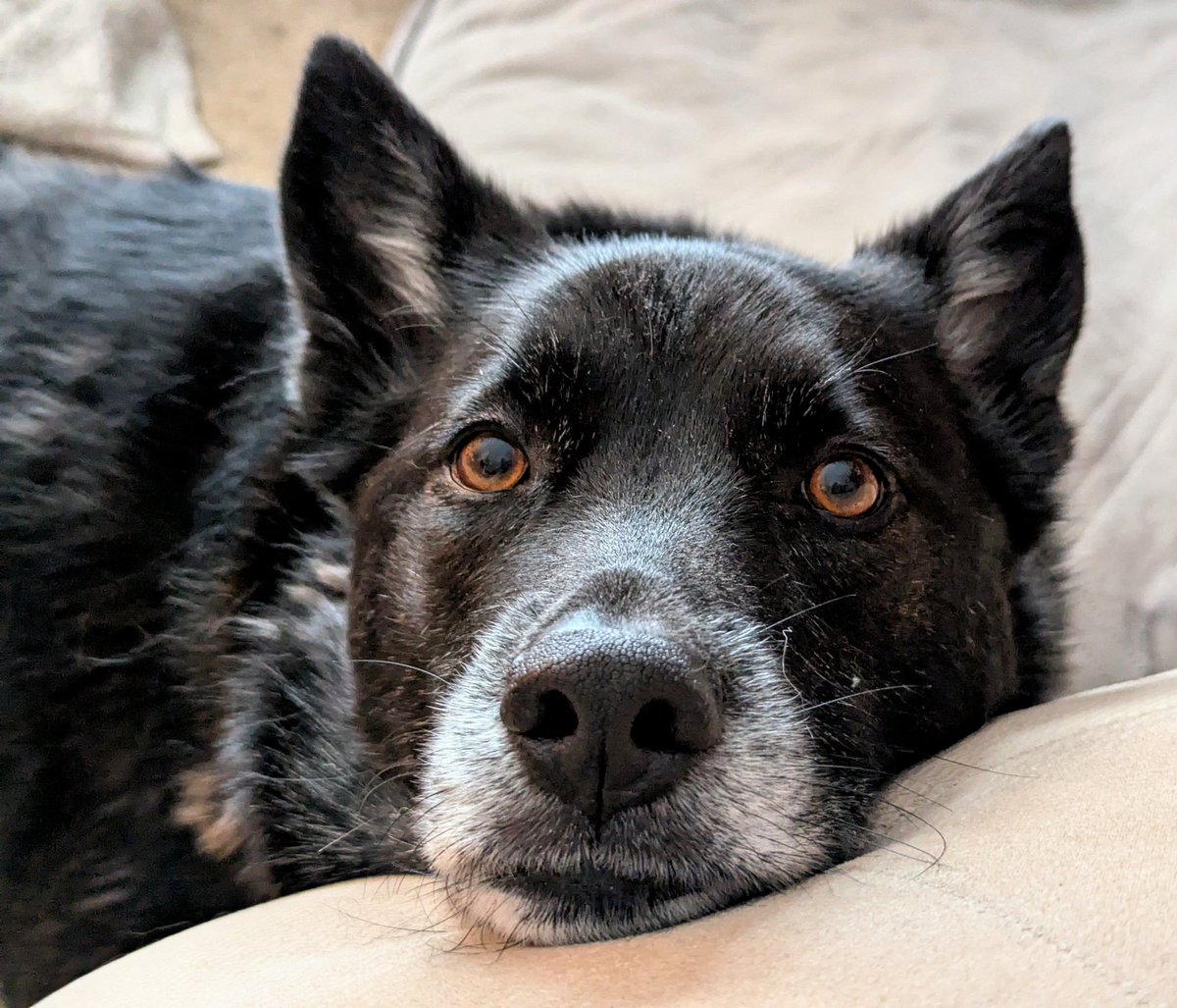 Suzanne Pothe 🇨🇦 tweet media