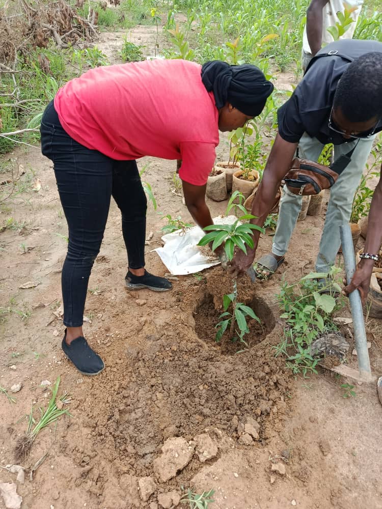 Elielle Cherifa Zerbo tweet media