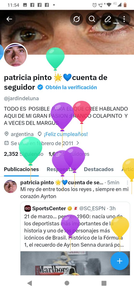patricia pinto 🌟💙cuenta de seguidor tweet media