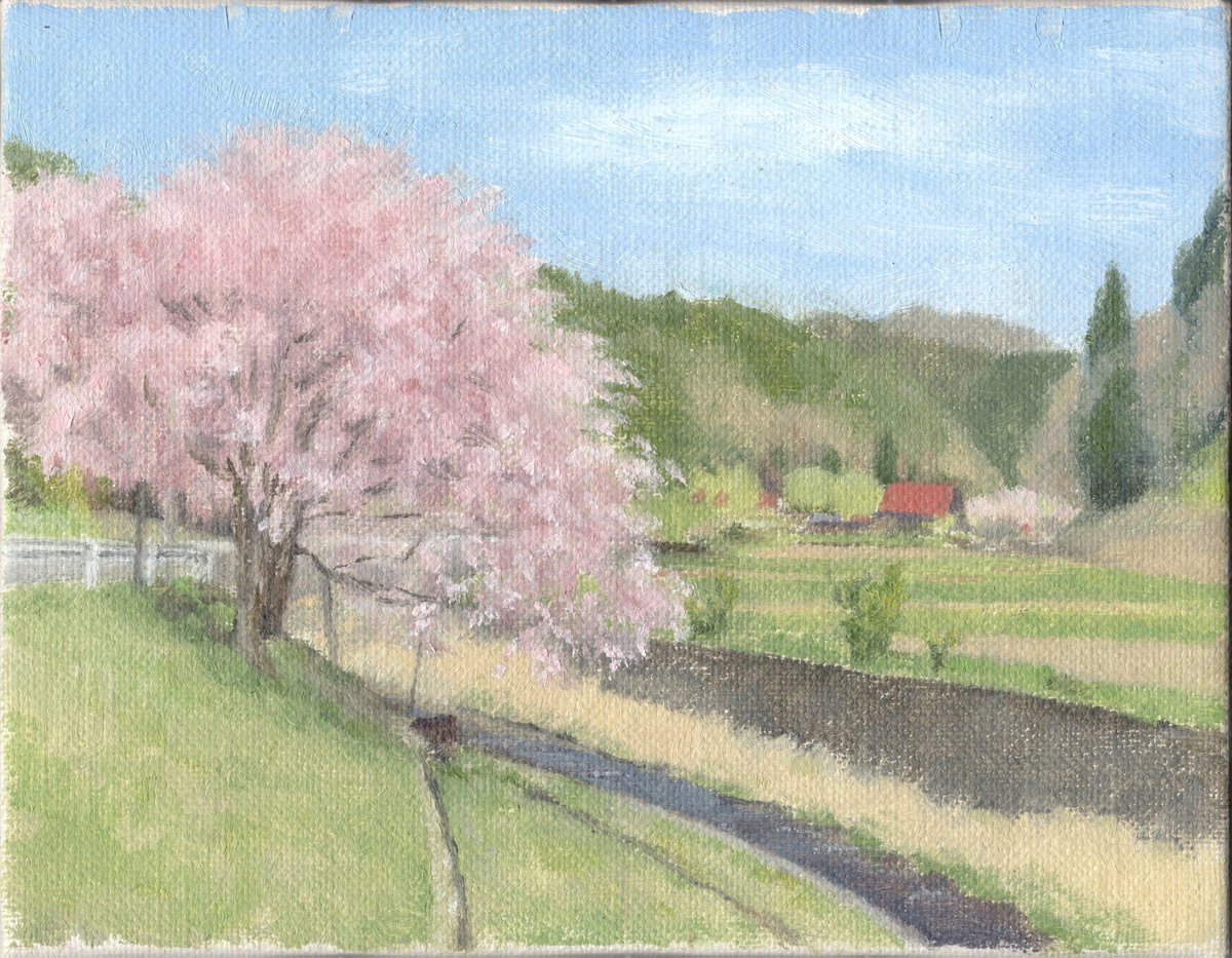 さぶりゆきこ5/23,24@DF63【F-208】 tweet media