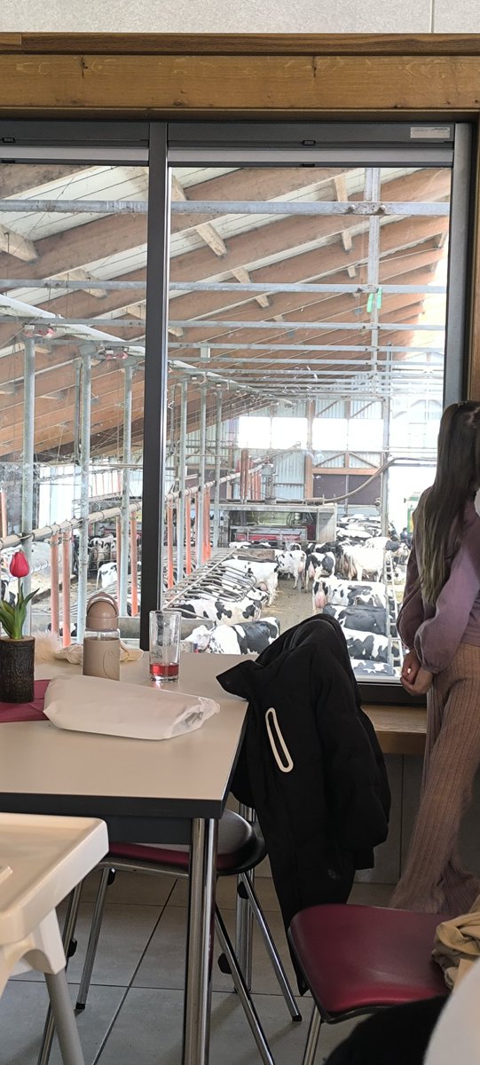 VoAnja's tweet photo. Hello friends... Today we were once in a cow cafe . Something else. https://t.co/Dk0dYHNG3t