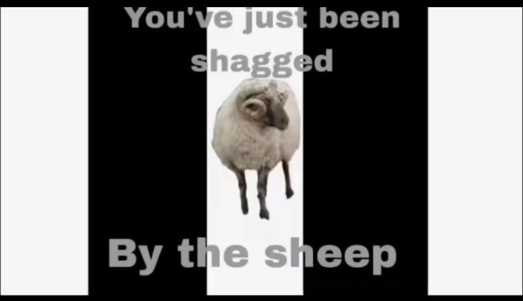 Charlie 🐏 tweet media