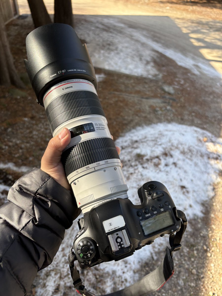 Fletcher 🇻🇳 tweet media