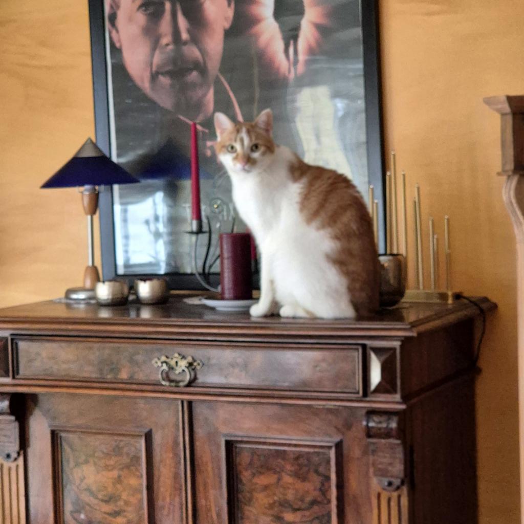 Birgit Lissowsky tweet media