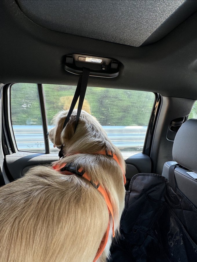 BossBroent tweet media