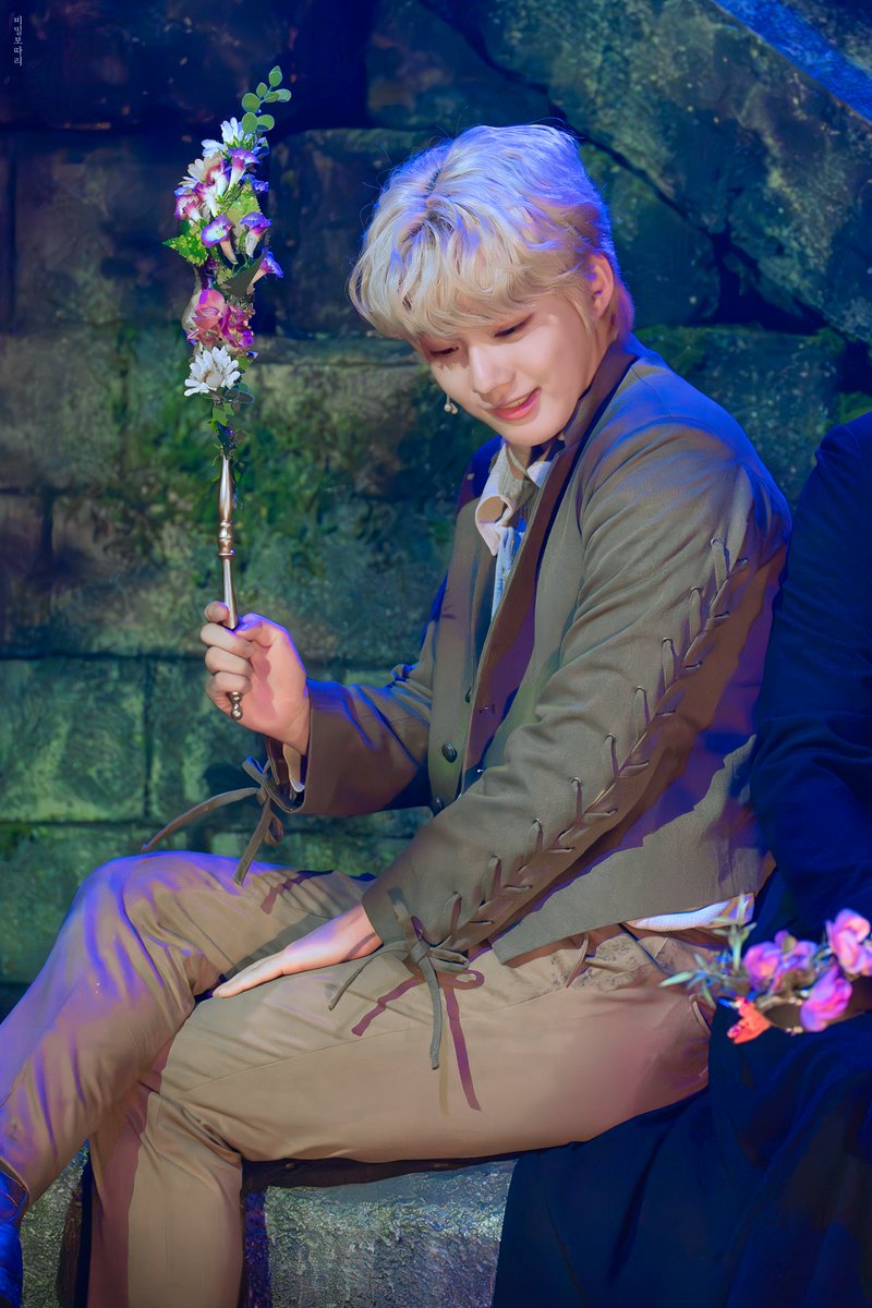 비밀보따리 tweet media