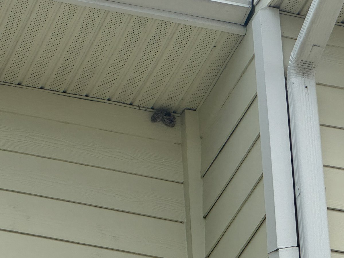 The Politics Dude tweet media