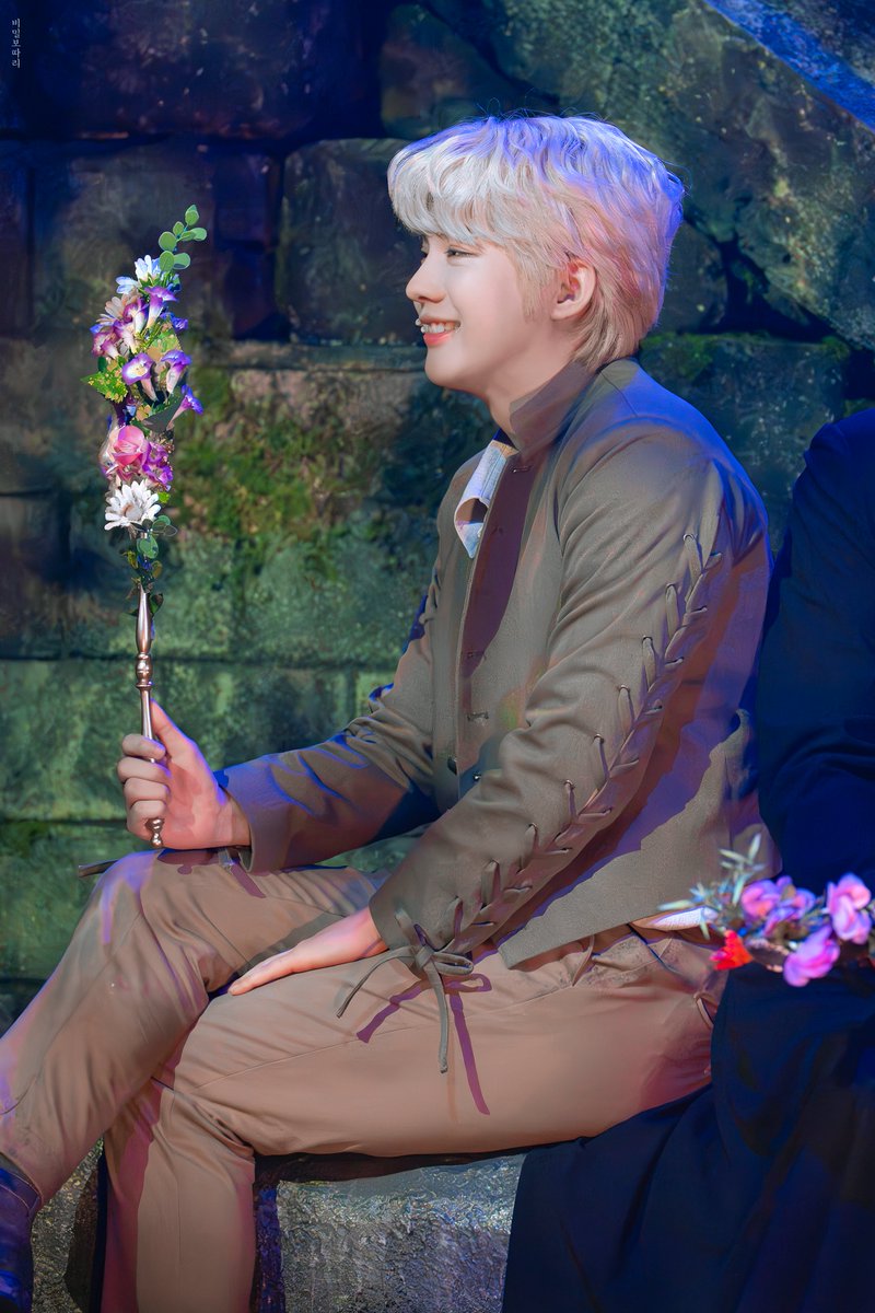 비밀보따리 tweet media