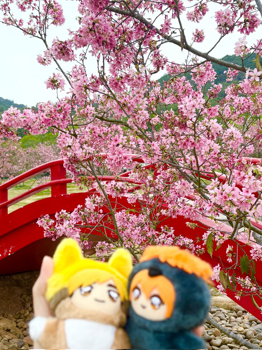 403notfound tweet media