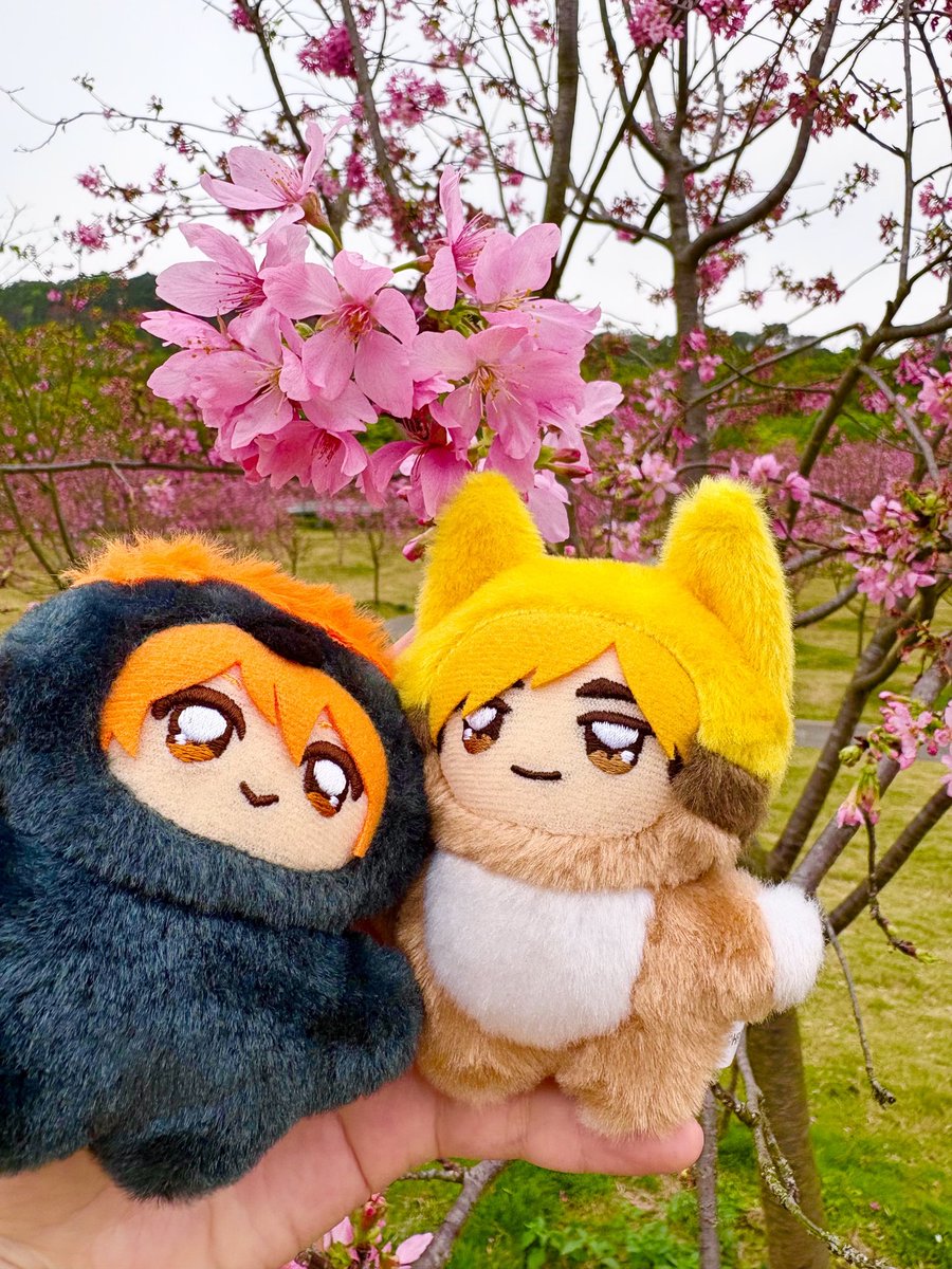 403notfound tweet media