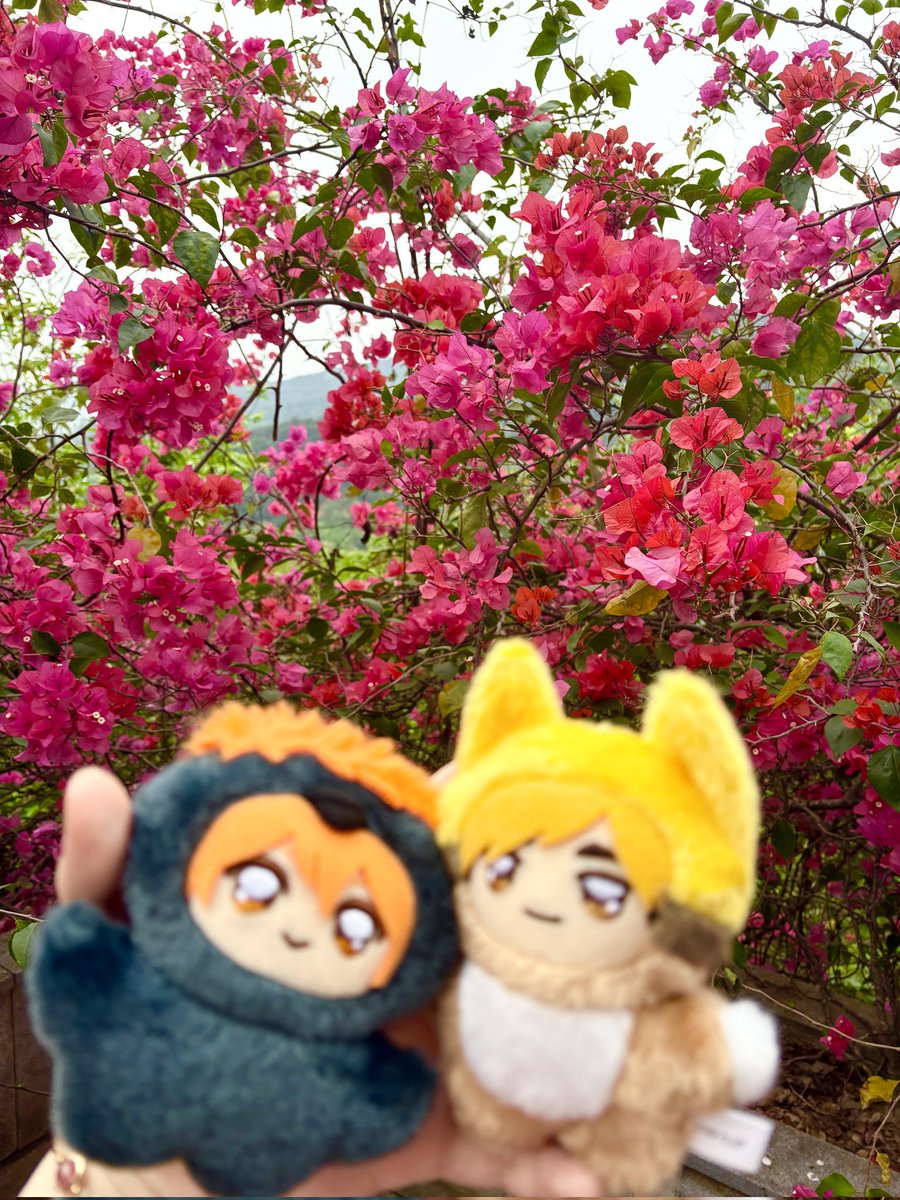 403notfound tweet media