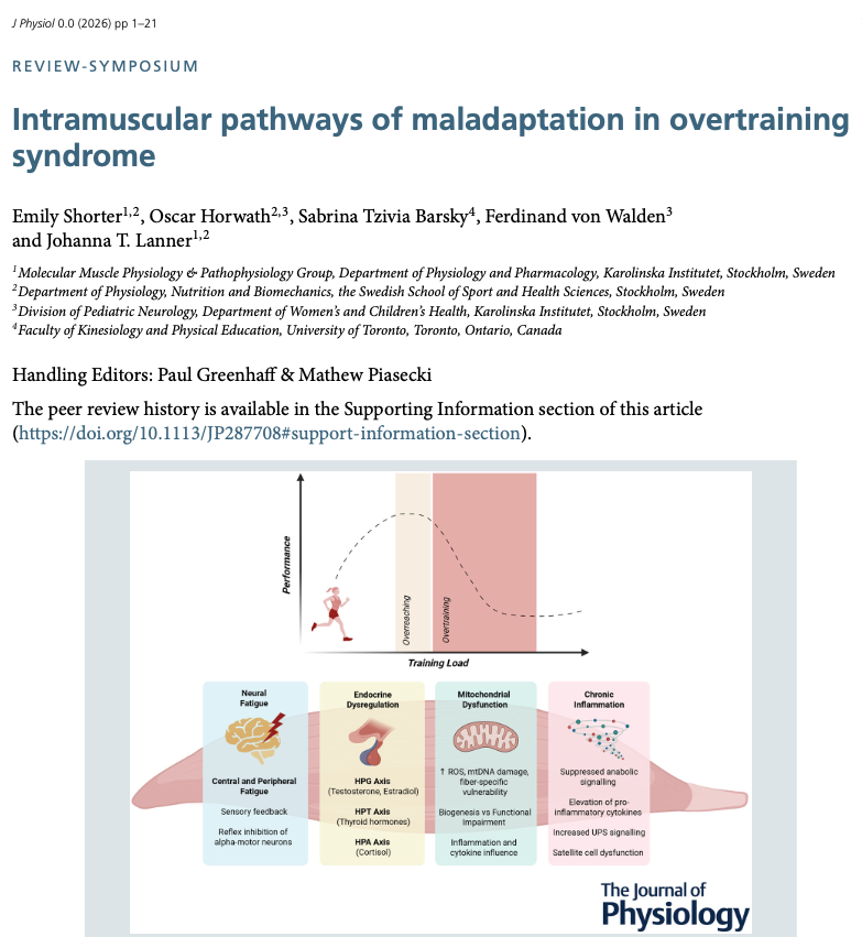 David Gómez tweet media