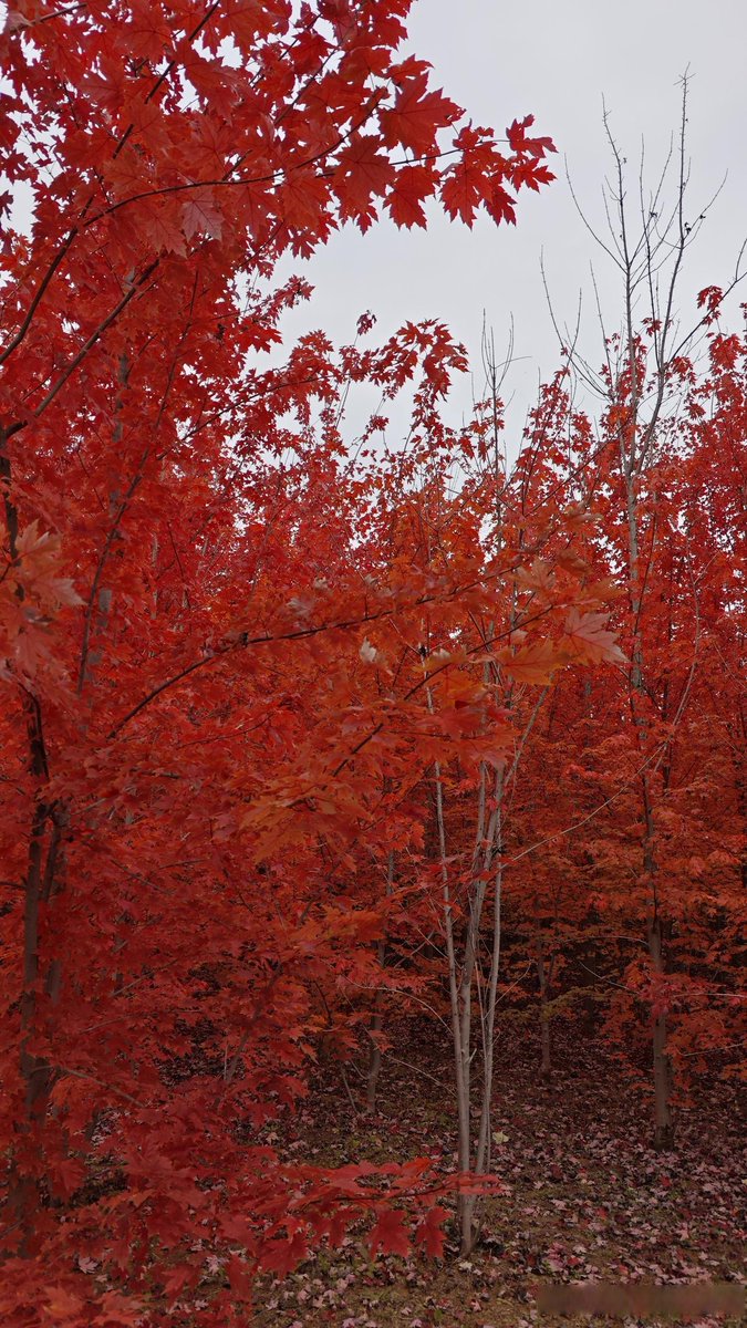 Eleanor Millane tweet media