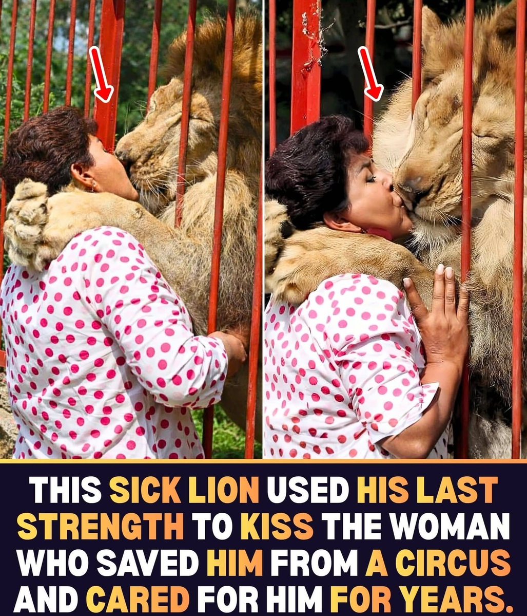 The World R🅰️nking tweet media