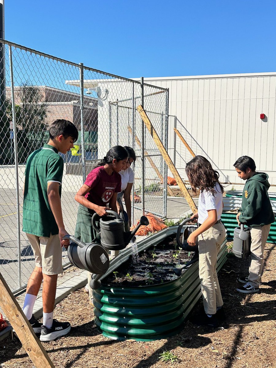 BurroughsMS tweet media