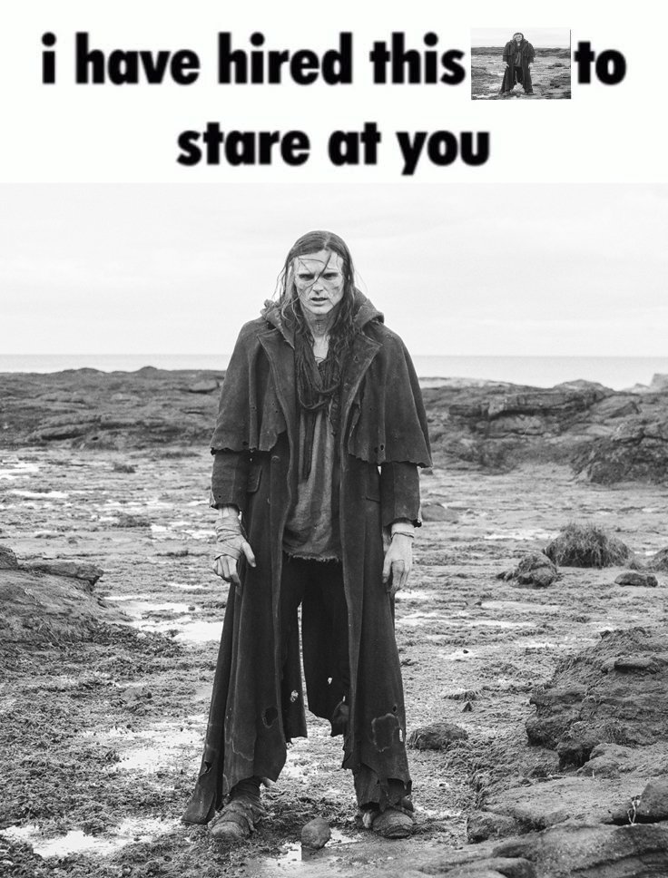 daily victor tweet media