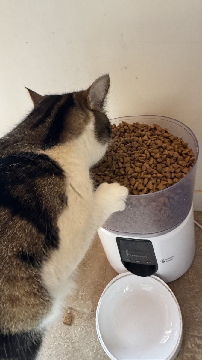 aigristiti 🐒 tweet media