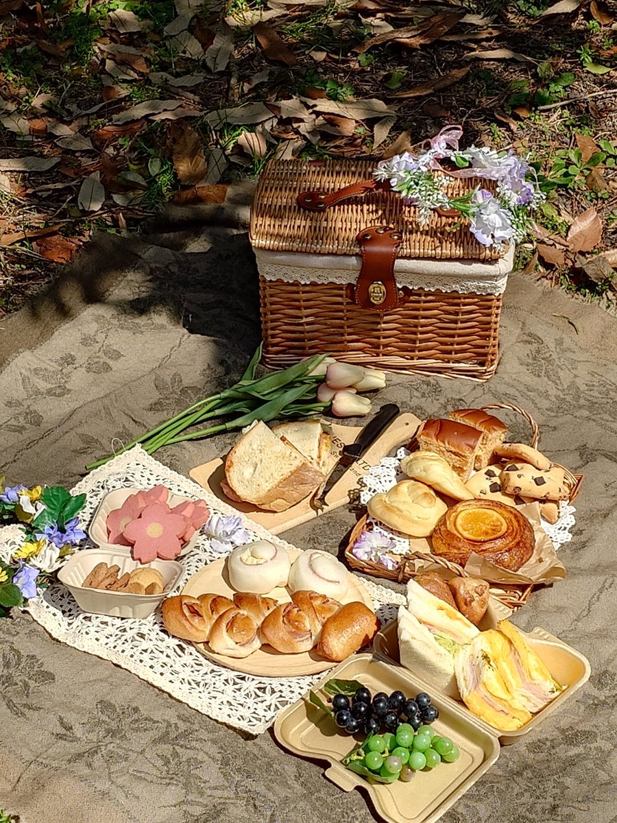 よたは左右盲 tweet media