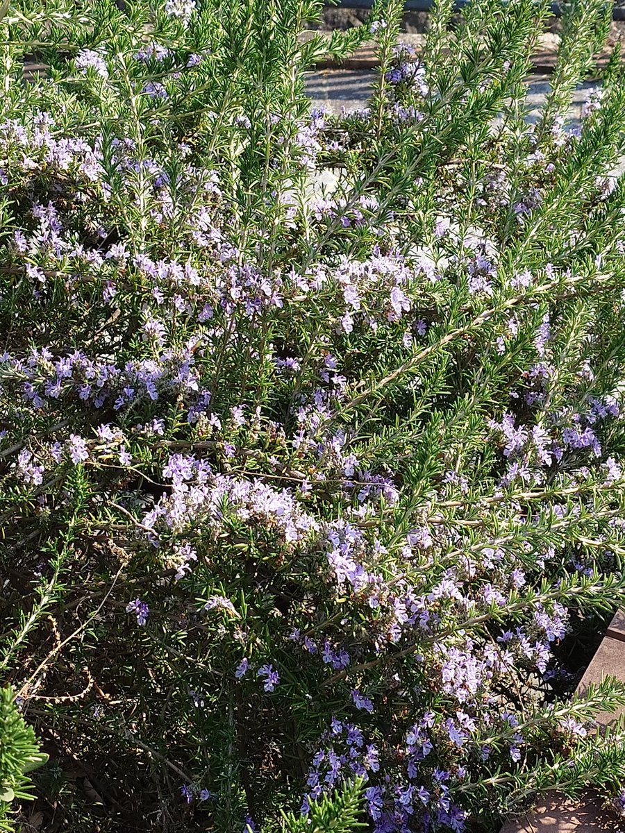 よたは左右盲 tweet media