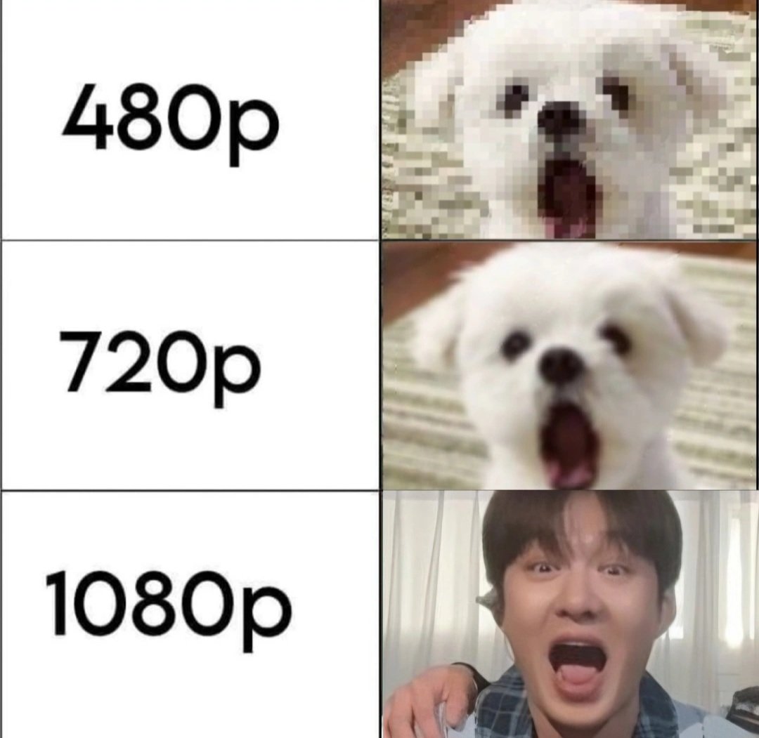 melodyz__2016's tweet photo. 🐶🐶🐶 https://t.co/9R4mJ2Iw1v