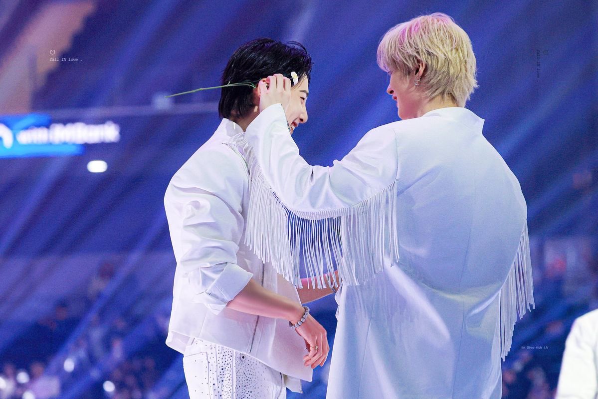 puppy ⋆˚｡𐔌u._.u𐦯⋆. tweet media