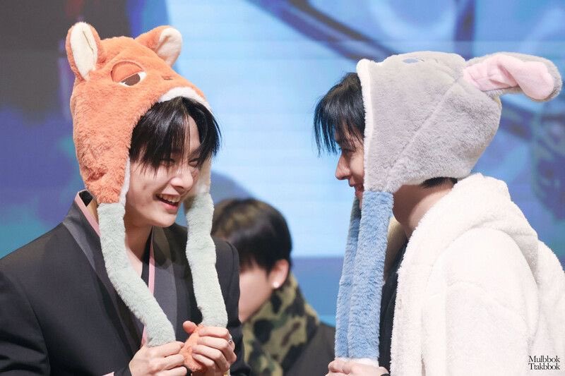 puppy ⋆˚｡𐔌u._.u𐦯⋆. tweet media