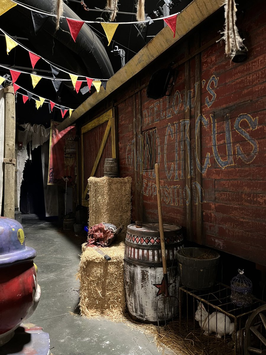 Kaley Bug Barmy (Plastico™) tweet media