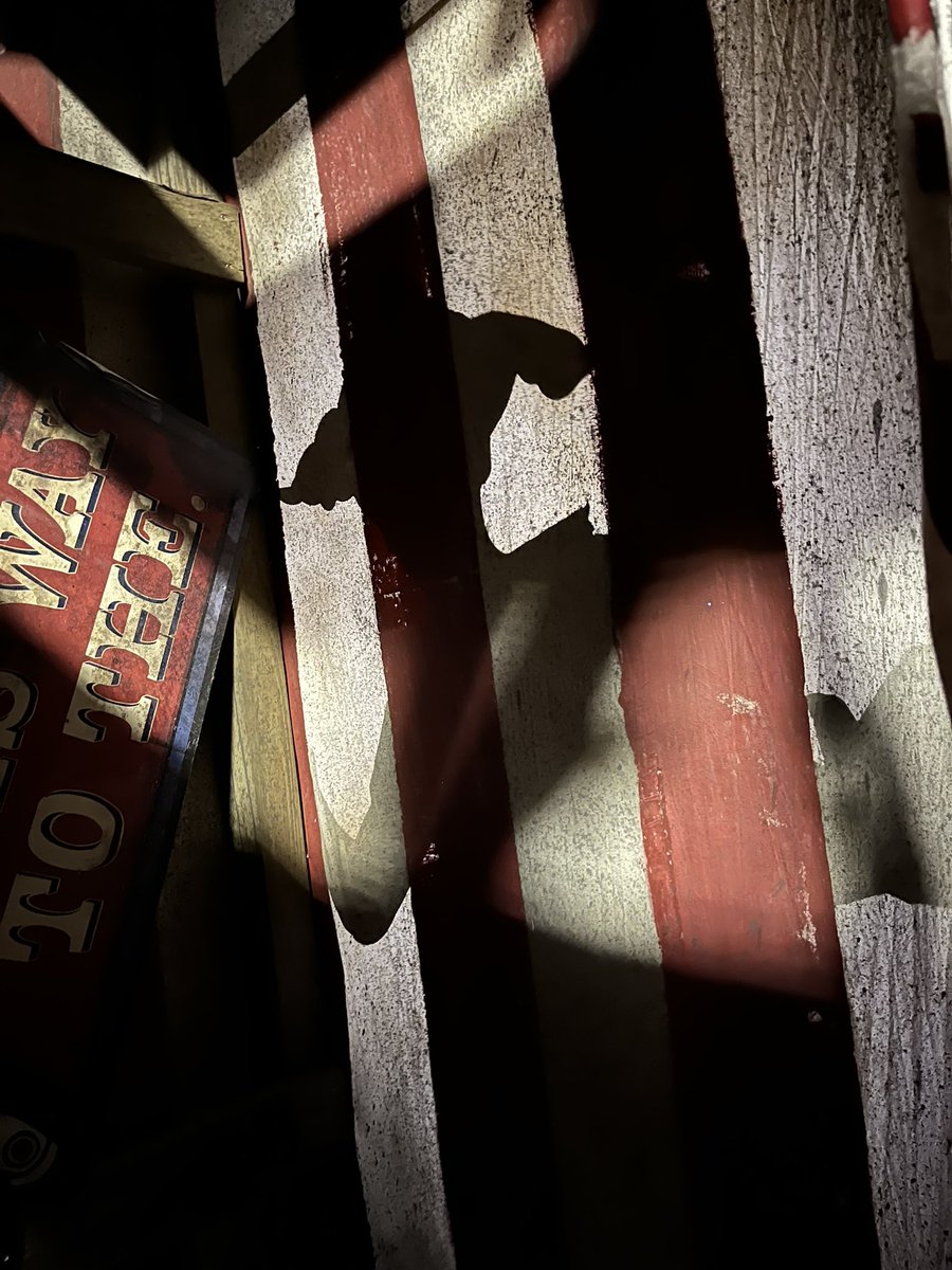 Kaley Bug Barmy (Plastico™) tweet media