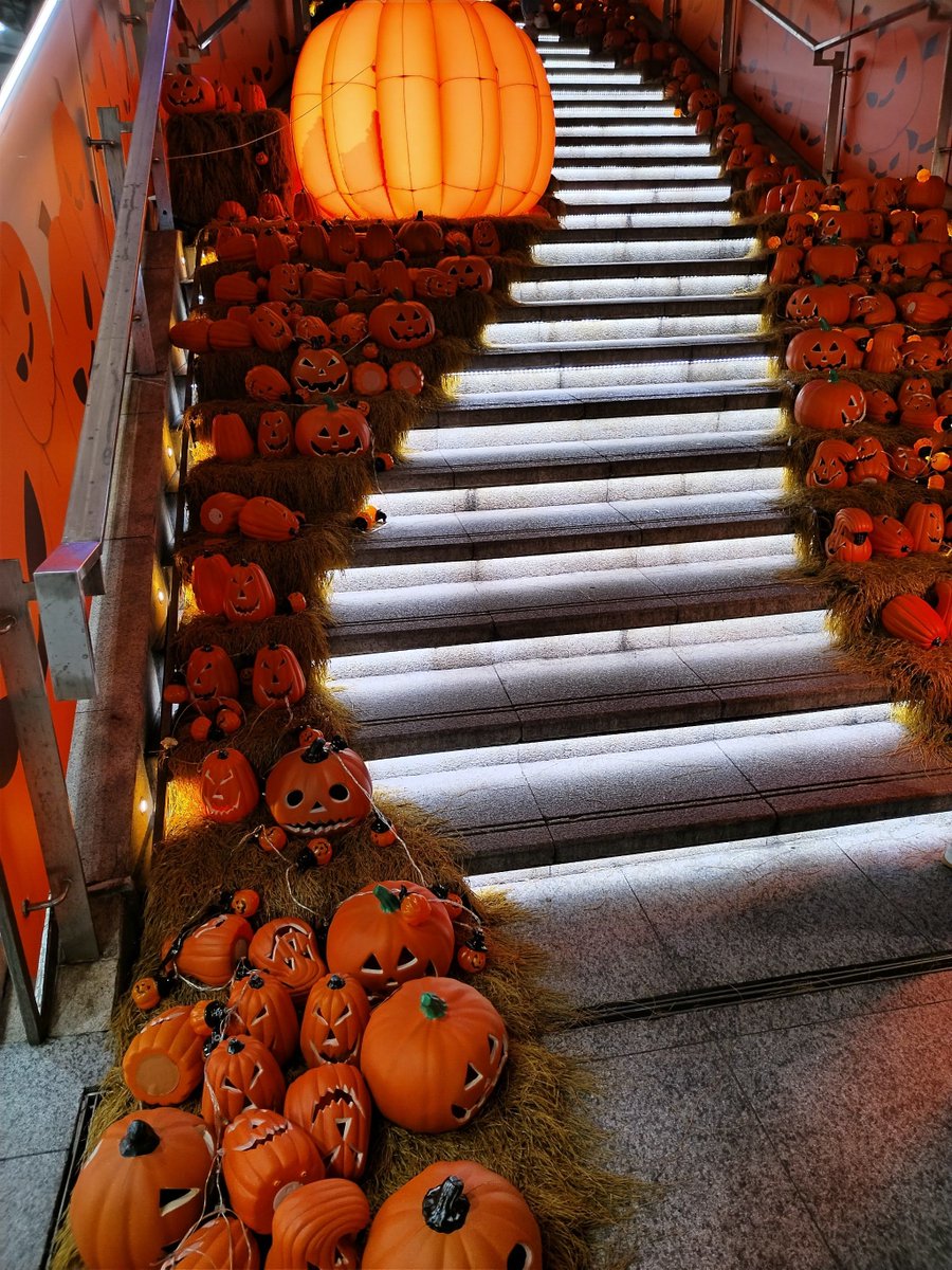 manjeet warwal tweet media