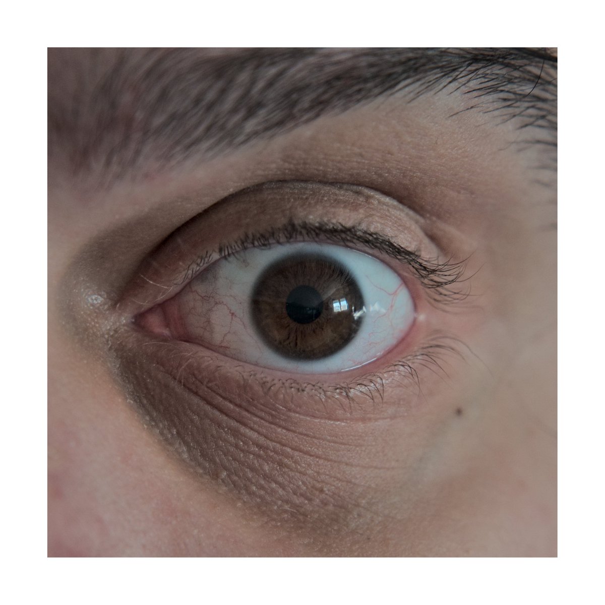 ⭐ Thrice-Great Mila ⭐⭐ tweet media