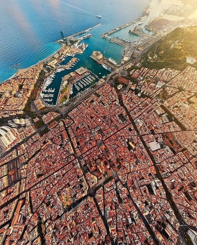 David Huang tweet media