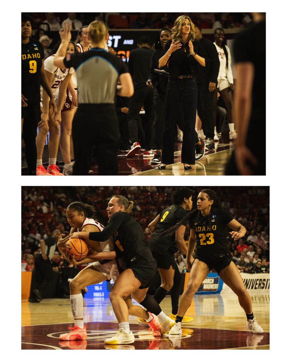 OU Daily tweet media