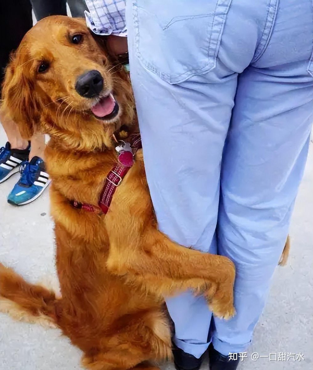 gabriel almeida tweet media