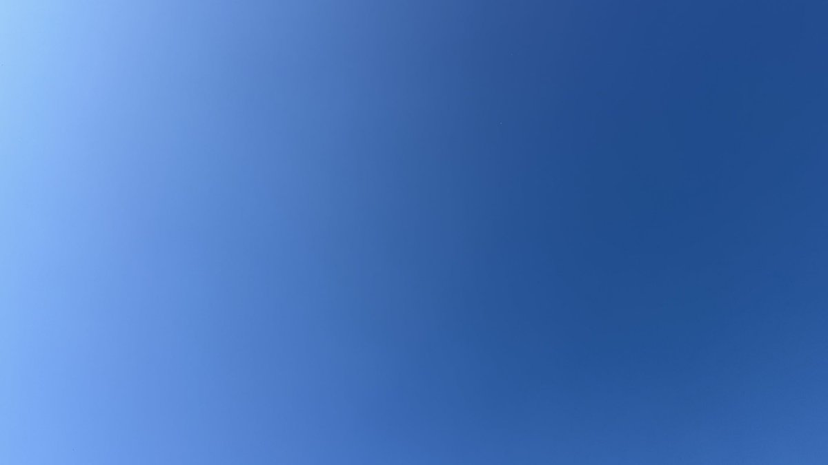 WG RumblePants tweet media