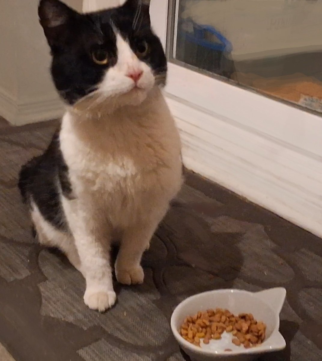 Henri 📸 🐦 🐈⬛🦆🐰💓📸 🫎💓 🏹🫎🩸😡 tweet media