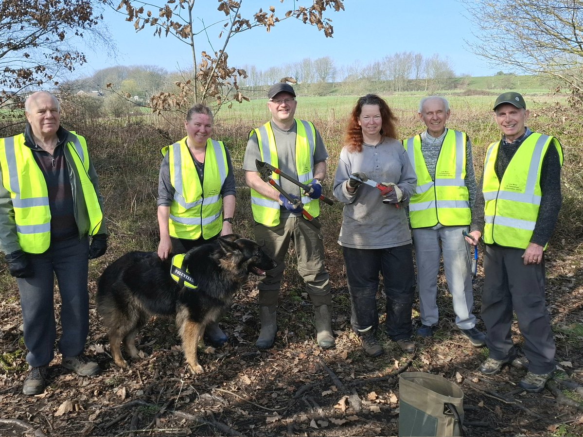 Martyn Priestley-Sharing tips about Urban Wildlife tweet media