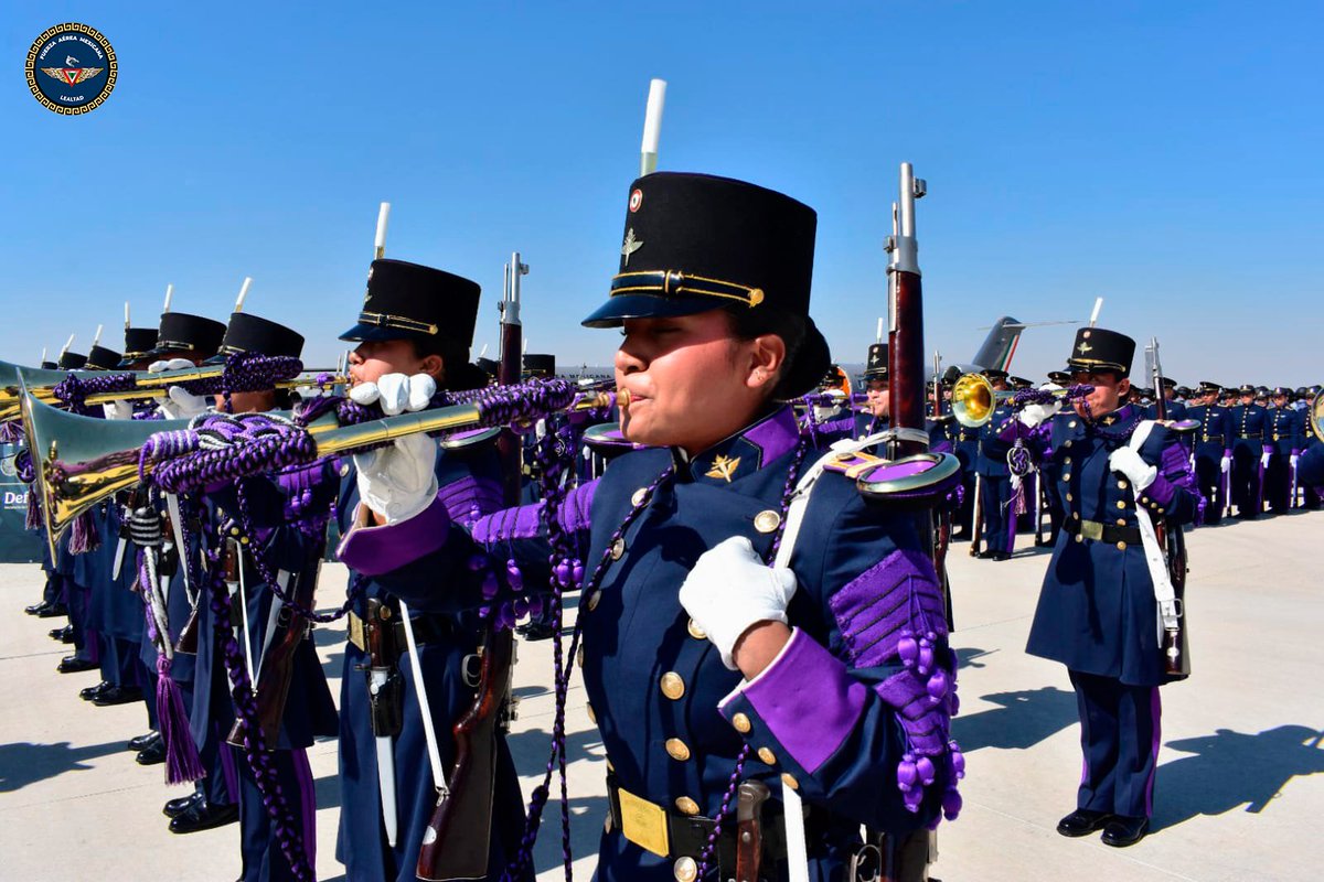 Fuerza Aérea Mexicana tweet media