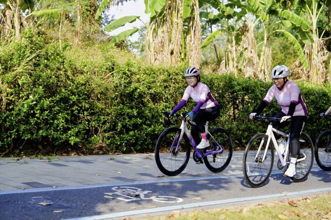 elisa gravina tweet media