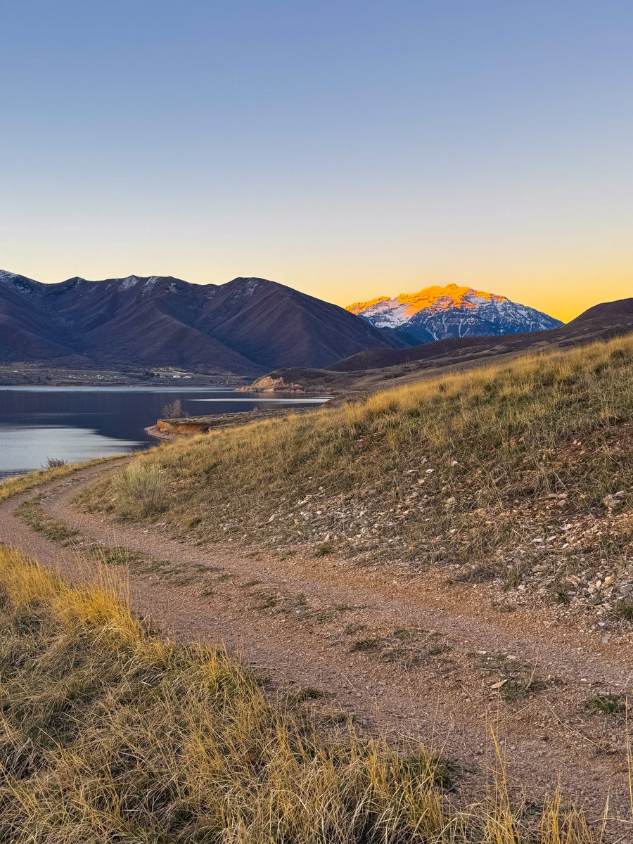 Sherman Dangerfield tweet media