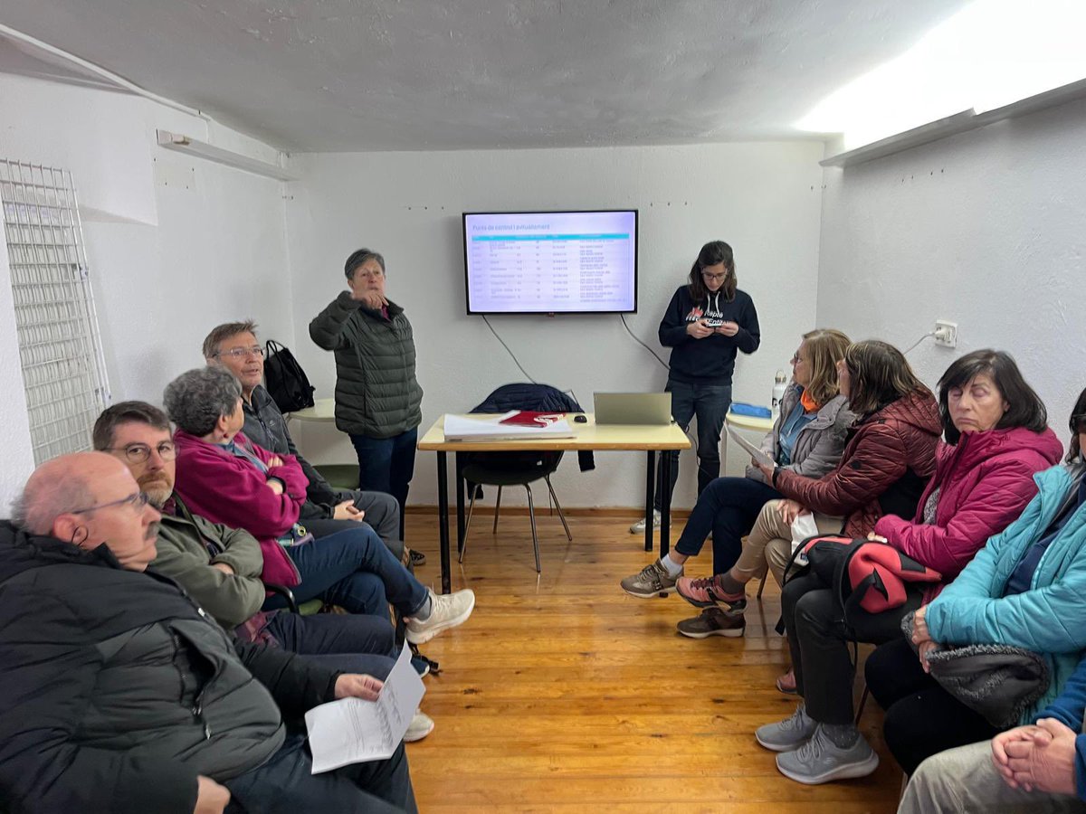 aamp.cat tweet media