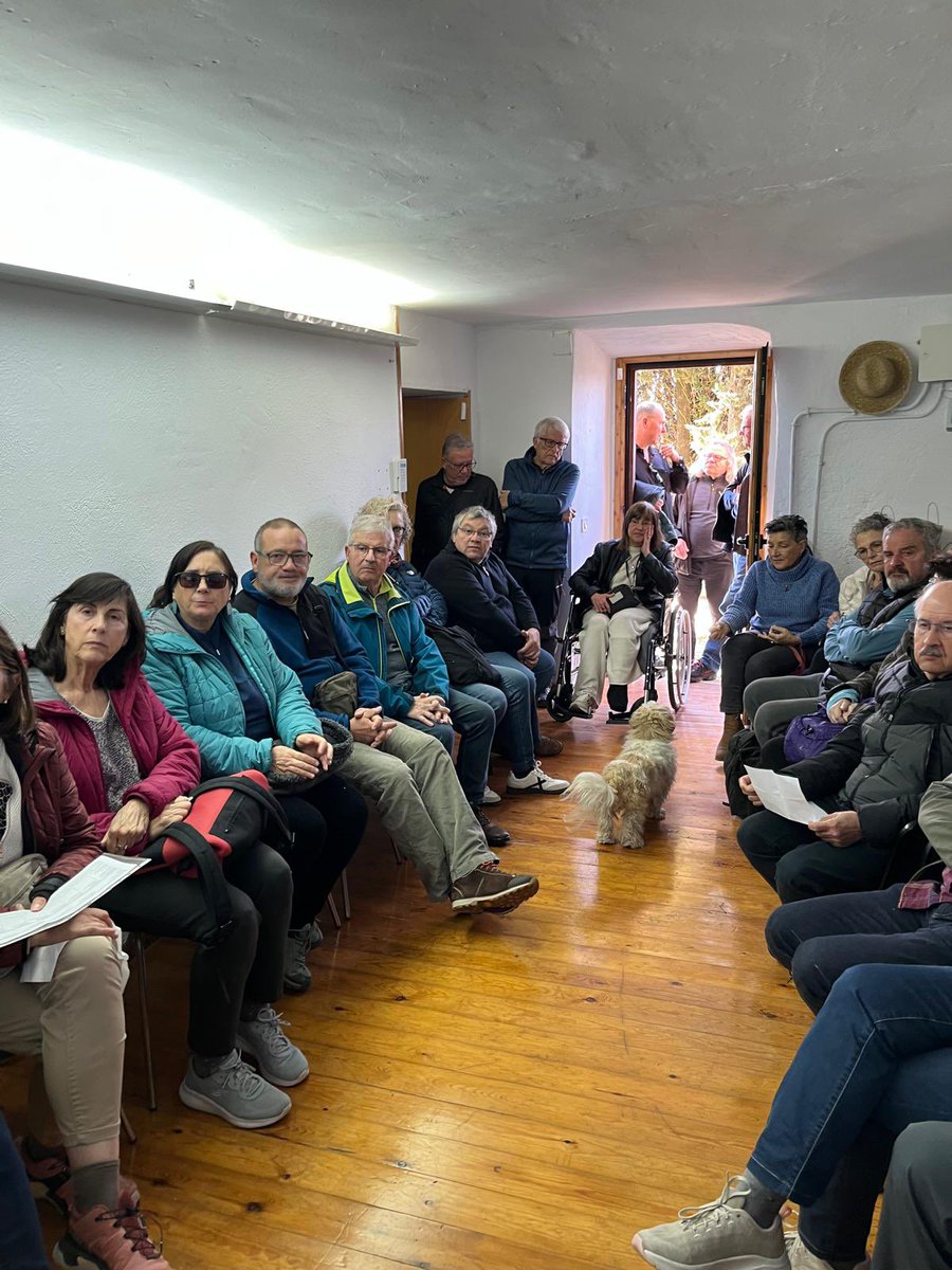 aamp.cat tweet media