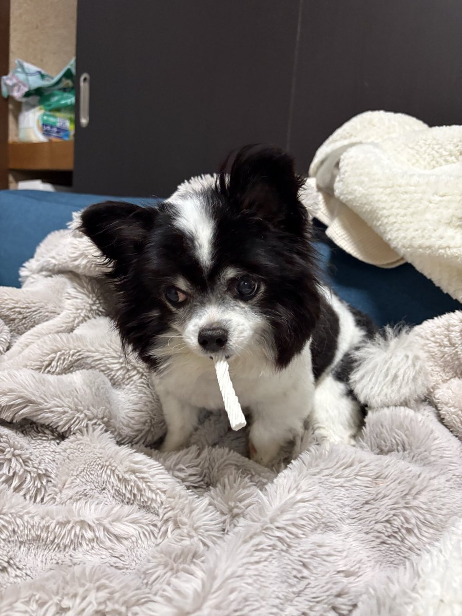 ノグチマリコ tweet media