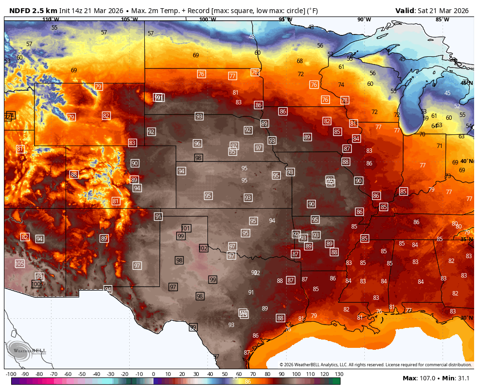 Alex Countee tweet media