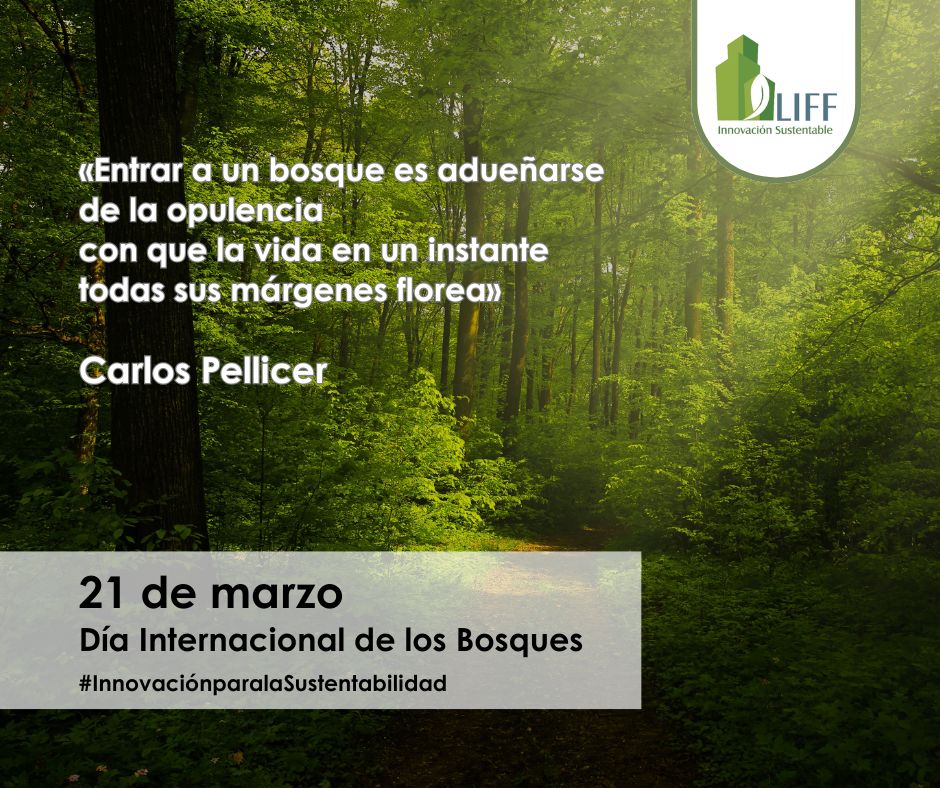 Fidel García Granados tweet media