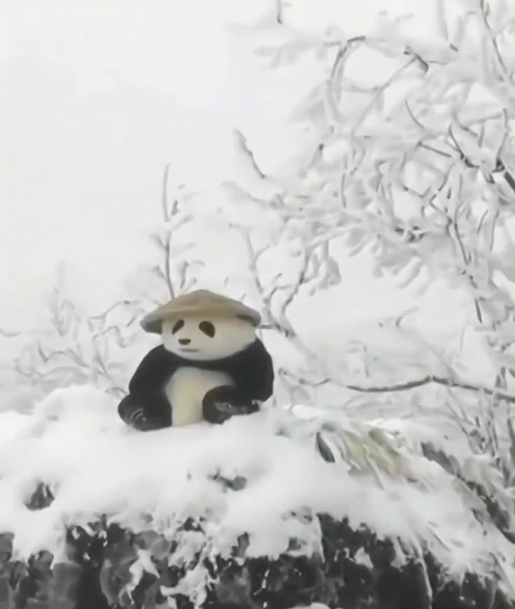 𝒁𝑬𝒀𝑹𝑶𝑿 tweet media