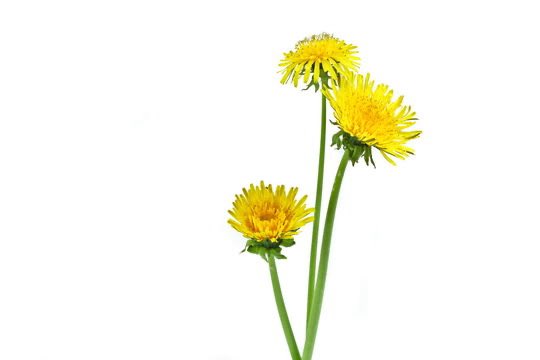 Kaska K💙💛🇪🇺 tweet media