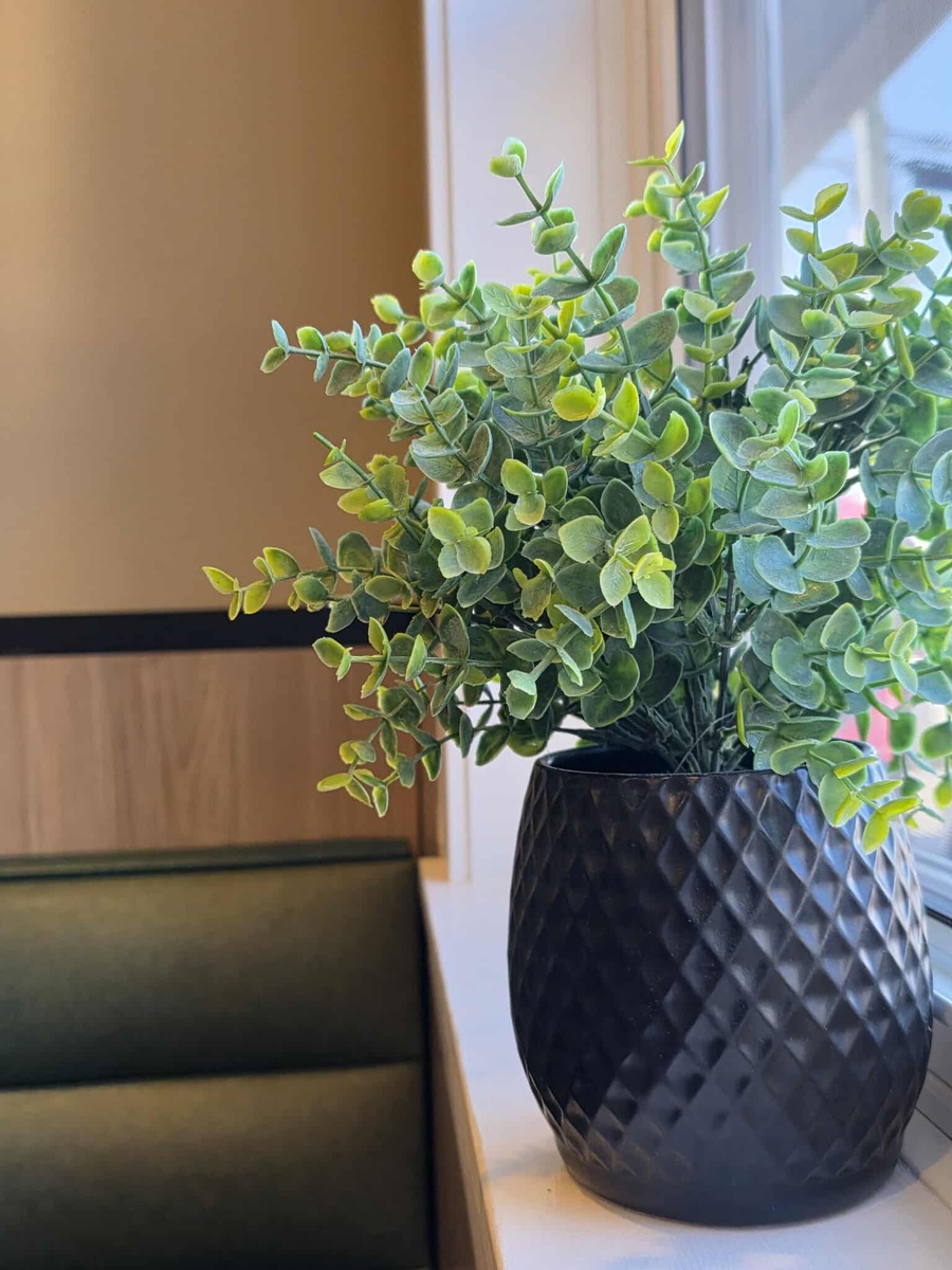 John Thon tweet media